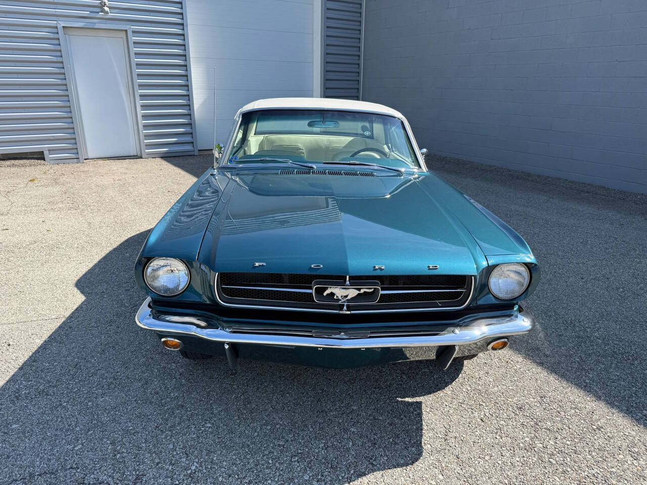 1965 Ford Mustang 104