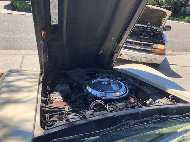 1981 Chevrolet Corvette