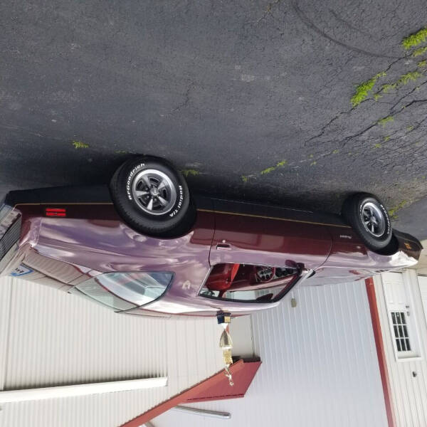 1980 Pontiac Firebird