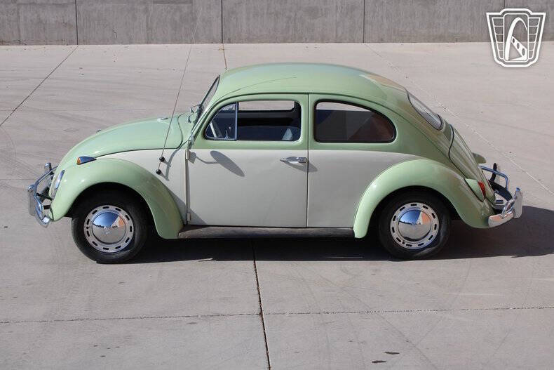 1964 Volkswagen Beetle