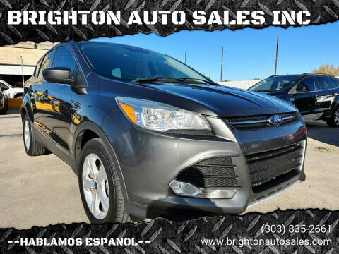2015 Ford Escape for sale at BRIGHTON AUTO SALES INC in Brighton CO