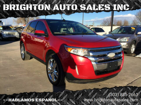 2012 Ford Edge for sale at BRIGHTON AUTO SALES INC in Brighton CO