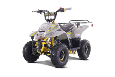 2023 TAO MOTORS BOULDER 110 ATV for sale at Advanti Powersports in Mesa AZ