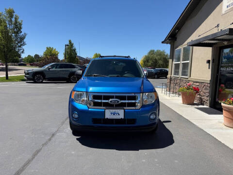 2011 Ford Escape XLT