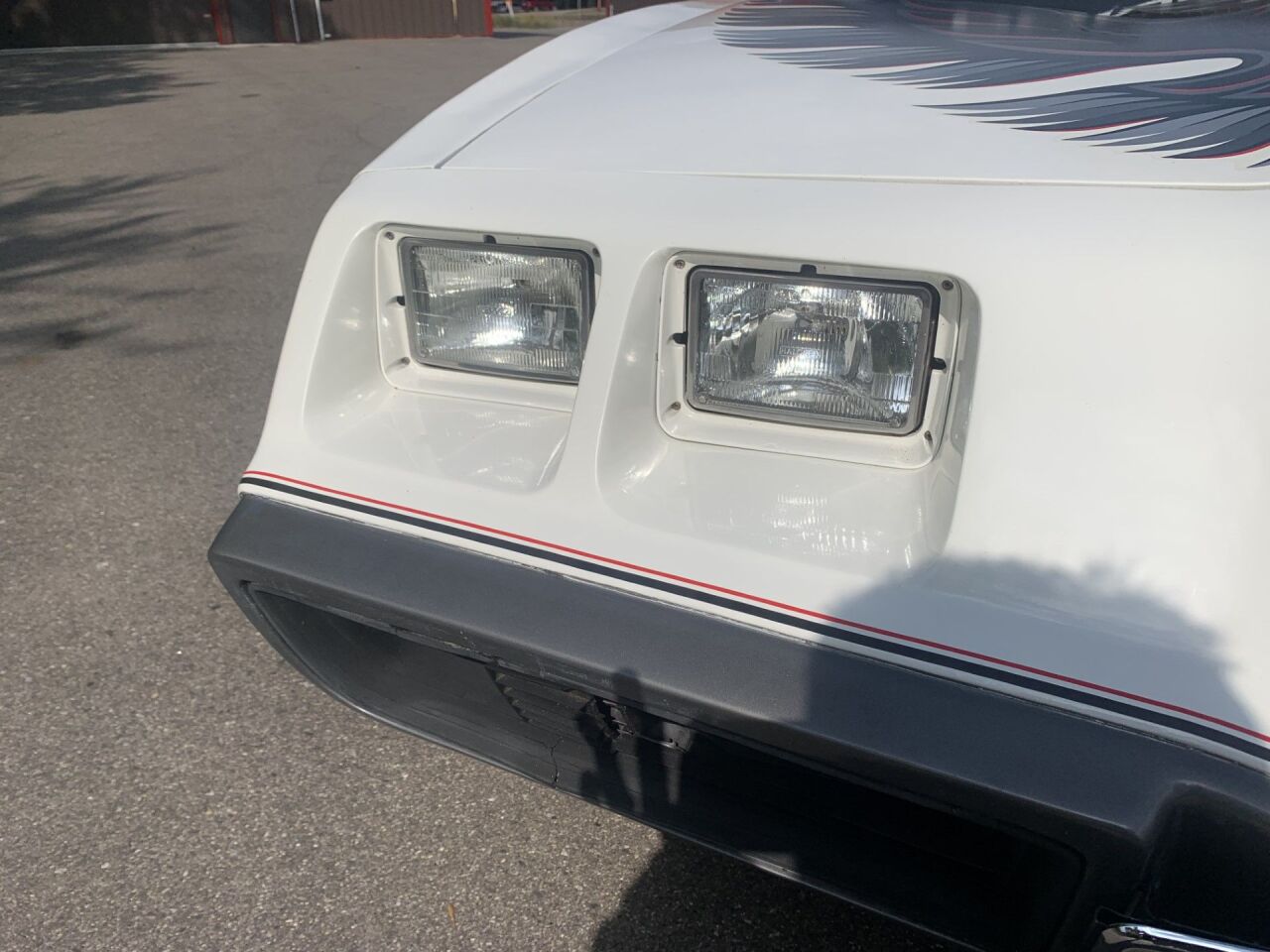 1980 Pontiac Trans Am 16