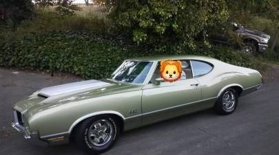 1972 Oldsmobile Cutlass