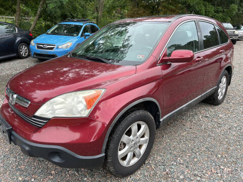 2009 Honda CR-V for sale at R C MOTORS in Vilas NC