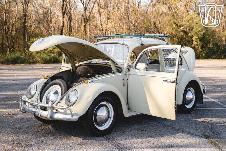 1965 Volkswagen Beetle