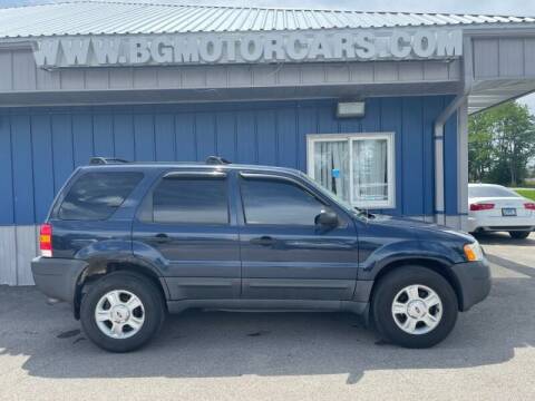 2004 Ford Escape for sale at BG MOTOR CARS in Naperville IL