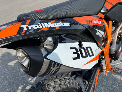 2024 TrailMaster TM 38E-300