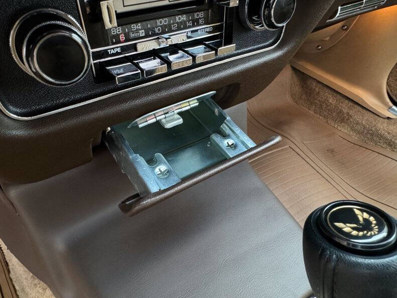 1981 Pontiac Firebird Trans Am