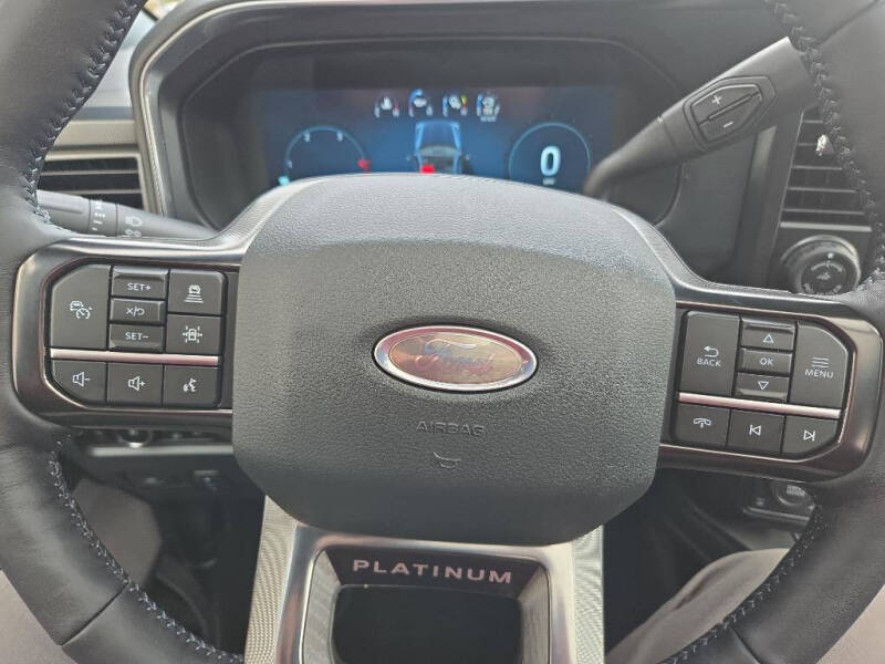 2025 Ford F-250 Super Duty Platinum - Photo 10