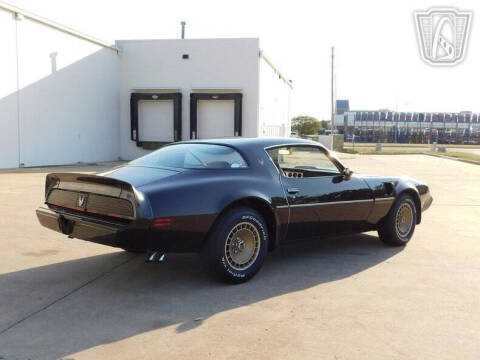 1981 Pontiac Firebird Trans Am