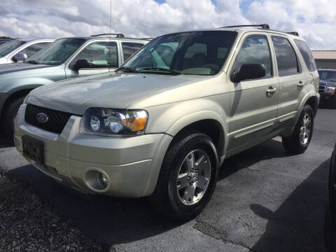 2005 Ford Escape for sale at Sheppards Auto Sales in Harviell MO