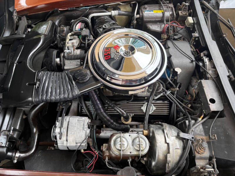 1981 Chevrolet Corvette
