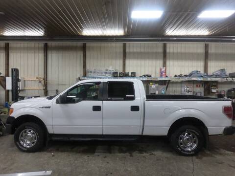 2011 Ford F-150 for sale at Alpha Autos - Mitchell in Mitchell SD