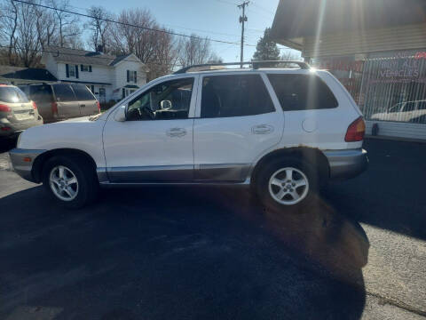 2004 Hyundai Santa Fe for sale at Maximum Auto Group II INC in Cortland OH