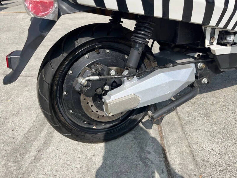 2020 Zebra E-bike