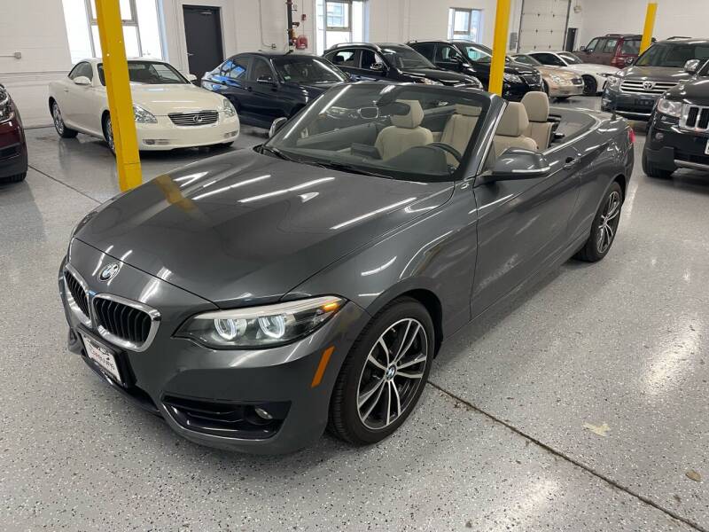 2018 BMW 2 Series for sale at The Car Buying Center in Saint Louis Park MN