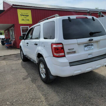 2010 Ford Escape XLT