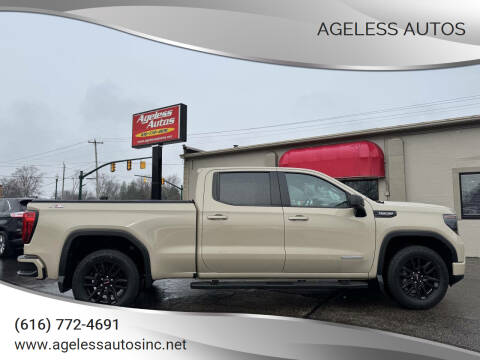 2022 GMC Sierra 1500 for sale at Ageless Autos in Zeeland MI