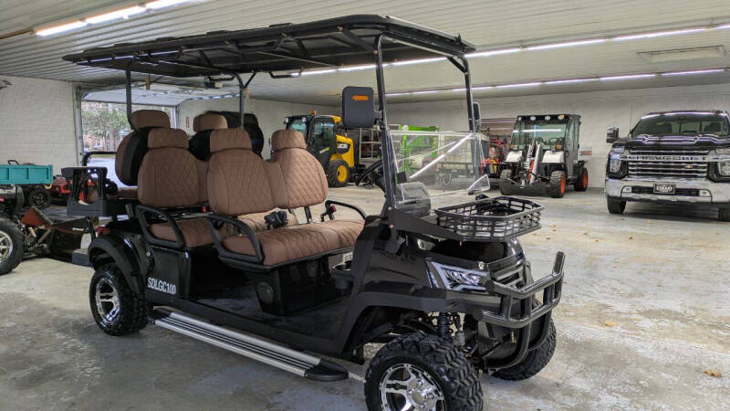 2025 SDLCG100 GOLF CART