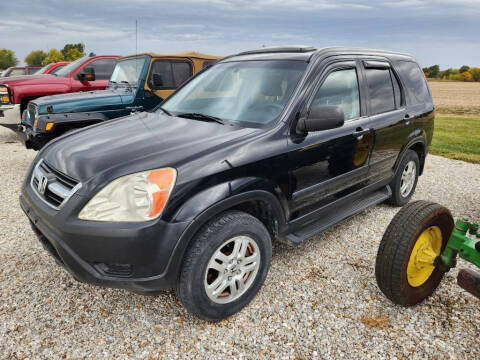 2003 Honda CR-V for sale at McEwen Auto Sales in Anabel MO