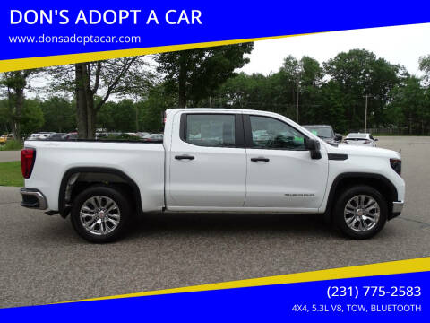 2022 GMC Sierra 1500 for sale at DON'S ADOPT A CAR in Cadillac MI