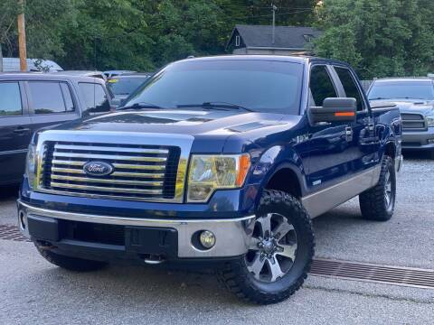 2011 Ford F-150 for sale at AMA Auto Sales LLC in Ringwood NJ
