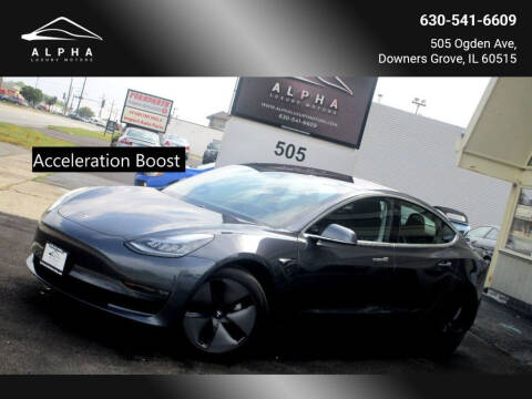 2019 Tesla Model 3 for sale at Alpha Luxury Motors in Downers Grove IL