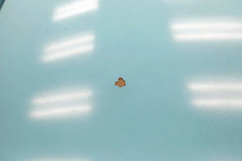 1955 Ford Crown Victoria