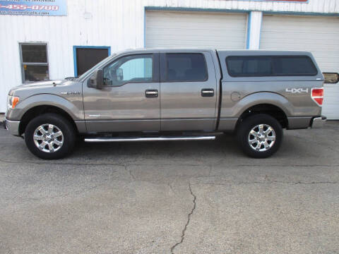 2013 Ford F-150 for sale at Dunne Deals in Crystal Lake IL