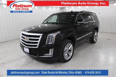 2018 Cadillac Escalade for sale at Platinum Auto Group Inc. in Minster OH