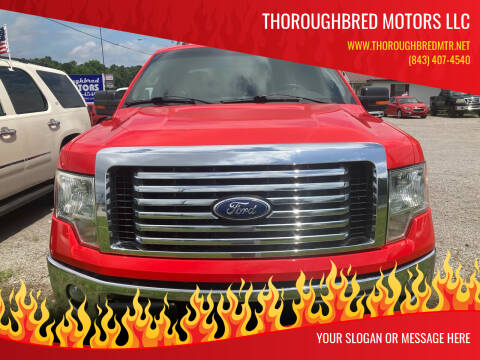 2011 Ford F-150 for sale at Thoroughbred Motors LLC in Scranton SC