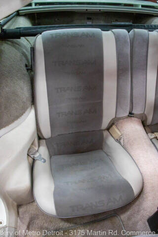 1984 Pontiac Firebird Trans Am