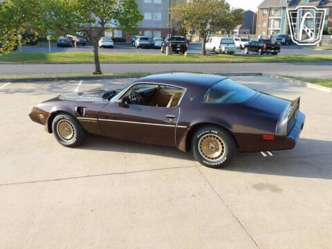 1981 Pontiac Firebird Trans Am