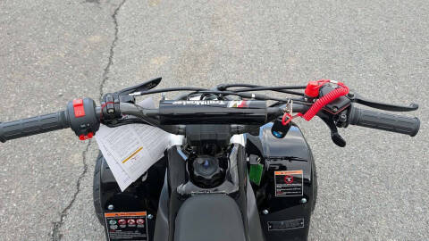 2024 TrailMaster Mini 110 Sport