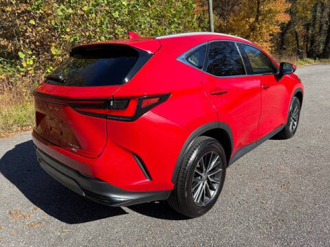 2024 Lexus NX 350 Premium