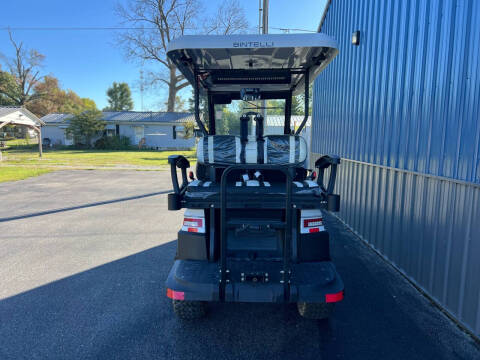 2024 Bintelli CITC LSV4P Beyond L Lithium