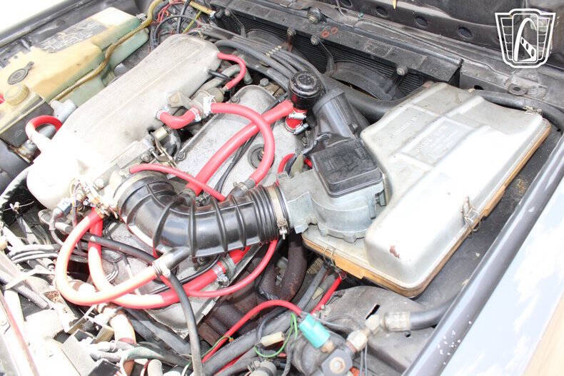 1981 Alfa Romeo GTV6