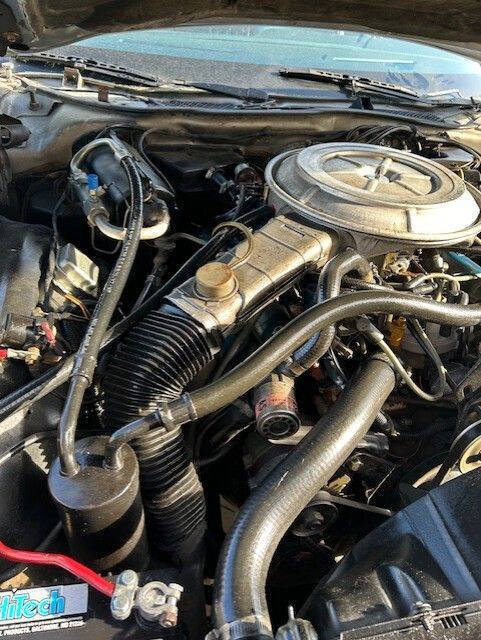 1979 Ford Thunderbird 8