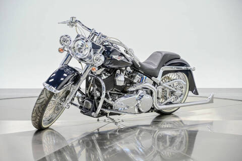 2009 Harley-Davidson FLTSN