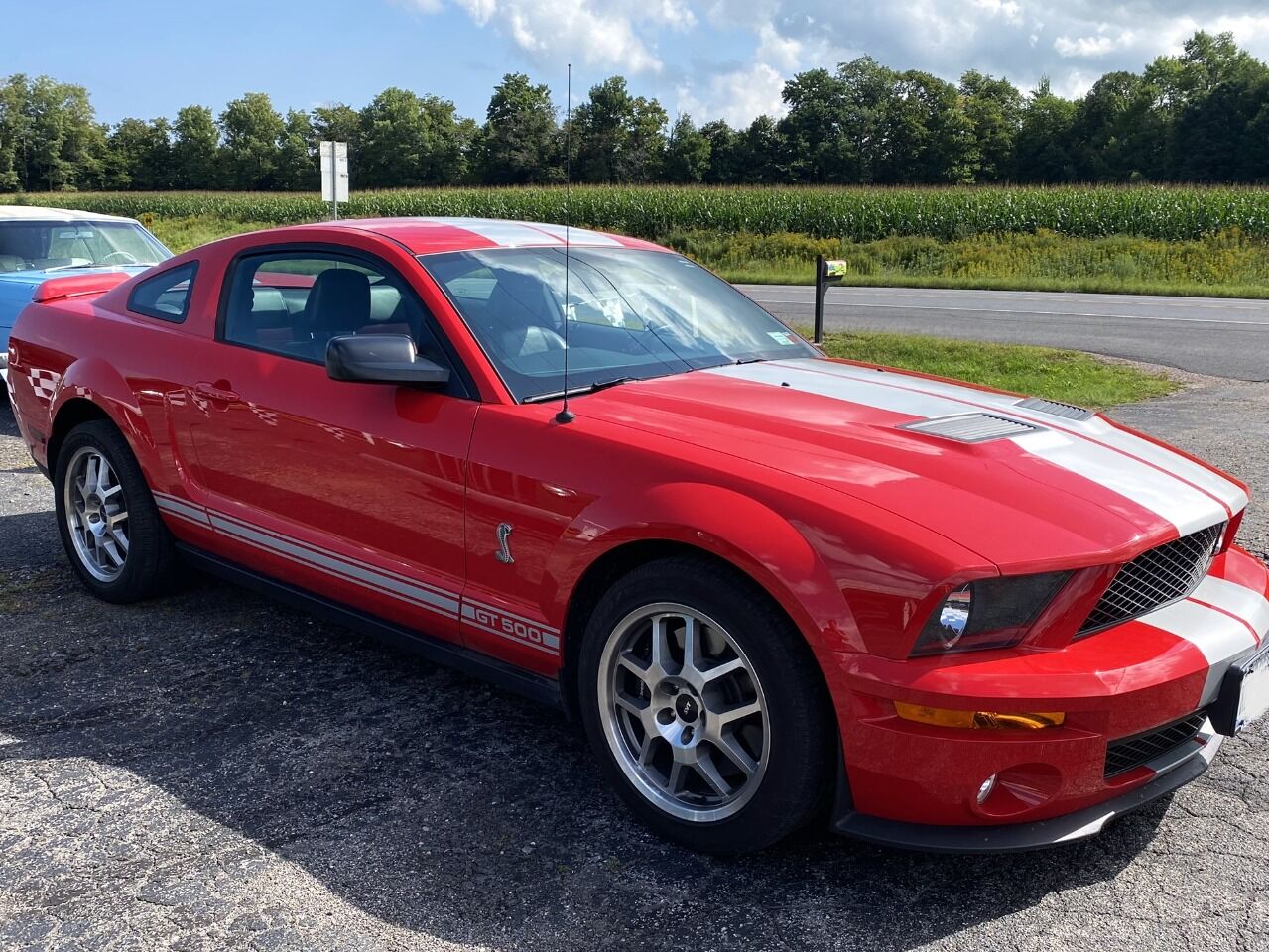 2007 Shelby GT500 8