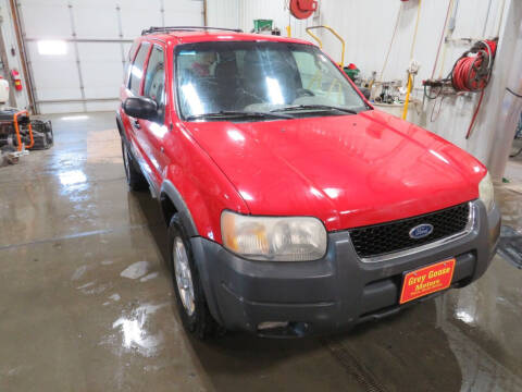 2001 Ford Escape for sale at Grey Goose Motors in Pierre SD