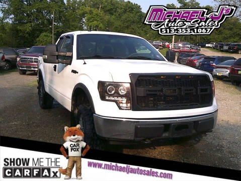 2010 Ford F-150 for sale at MICHAEL J'S AUTO SALES in Cleves OH