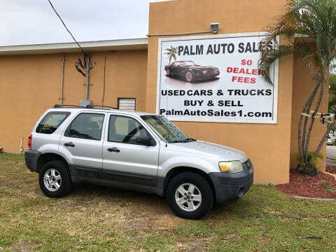 2006 Ford Escape for sale at Palm Auto Sales in West Melbourne FL