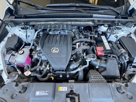 2024 Lexus NX 350