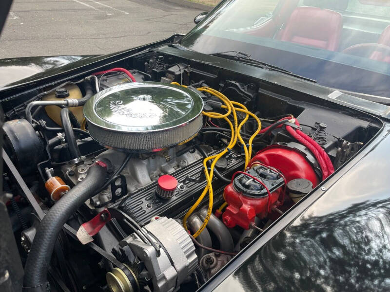 1981 Chevrolet Corvette