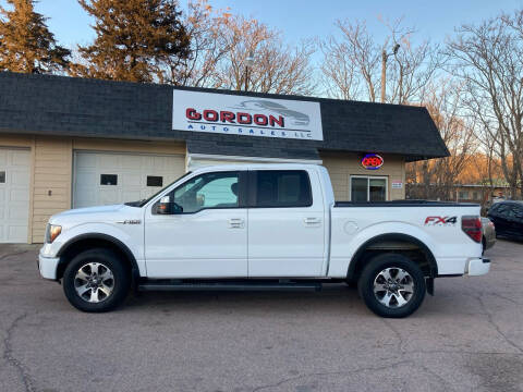 2014 Ford F-150 for sale at Gordon Auto Sales LLC in Sioux City IA