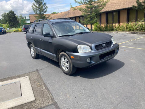 2004 Hyundai Santa Fe for sale at Blue Line Auto Group in Portland OR